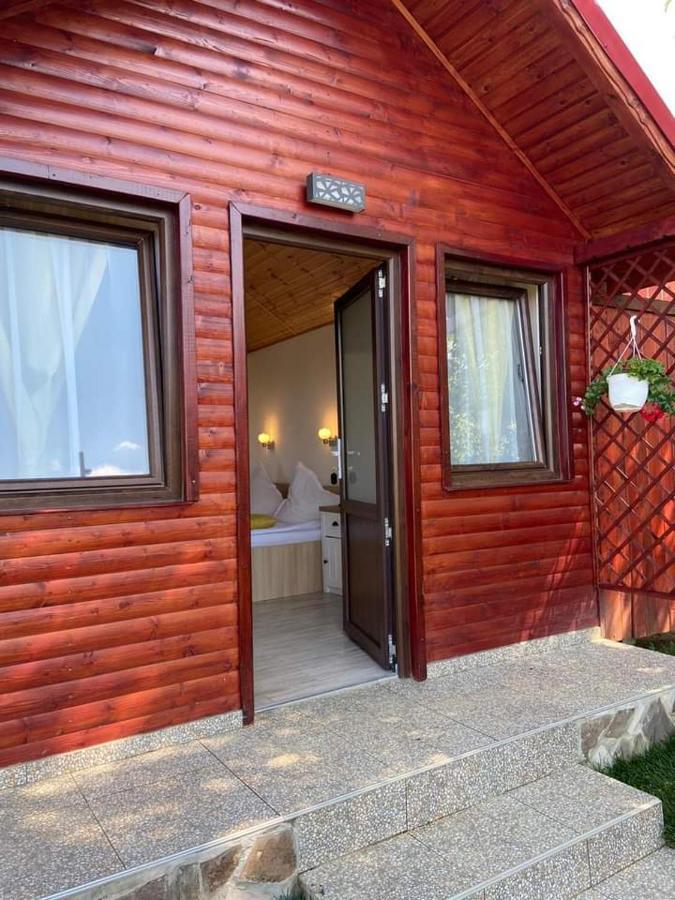 Pensiunea Tinelu Brasov 사셀레 외부 사진