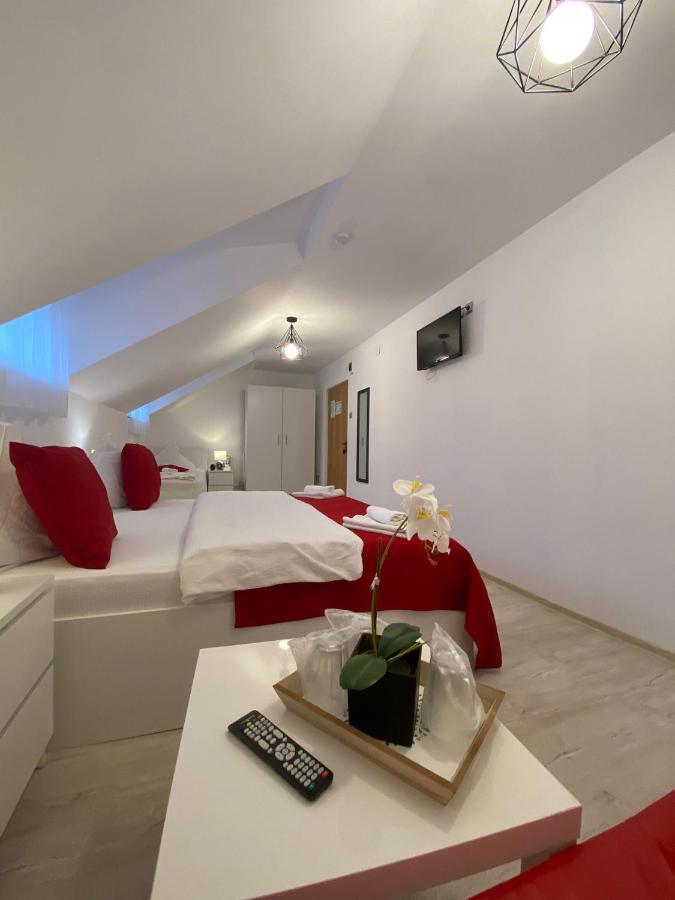 Pensiunea Tinelu Brasov 사셀레 외부 사진