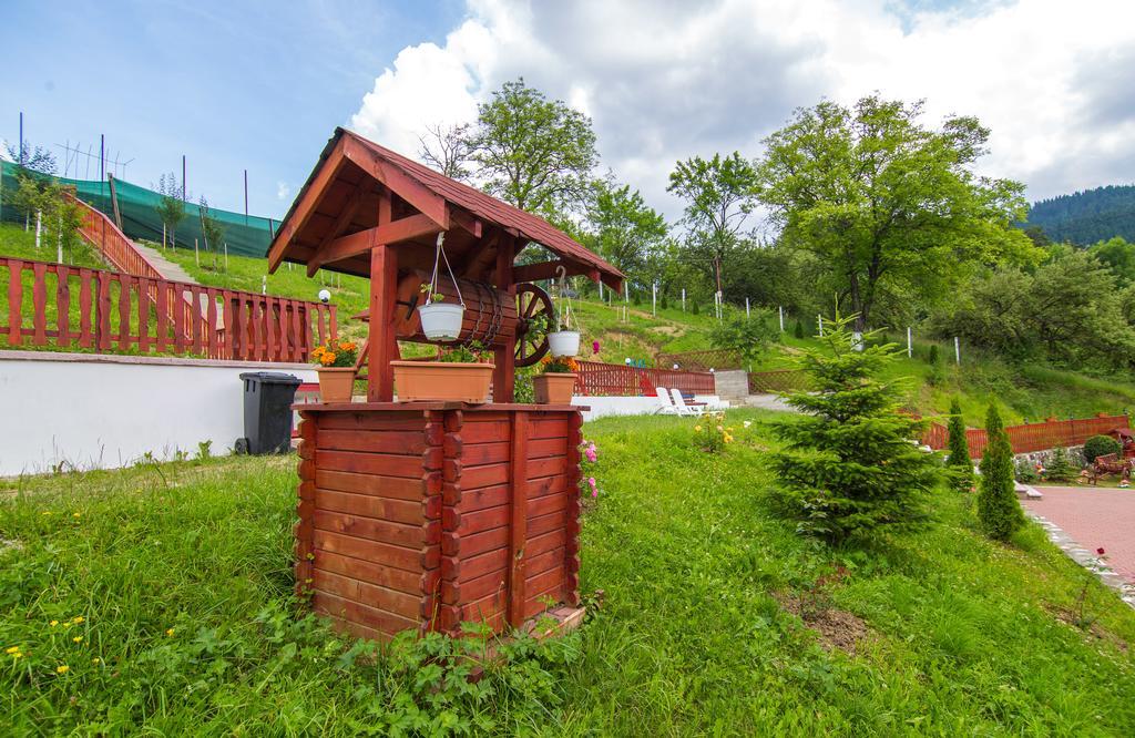 Pensiunea Tinelu Brasov 사셀레 외부 사진